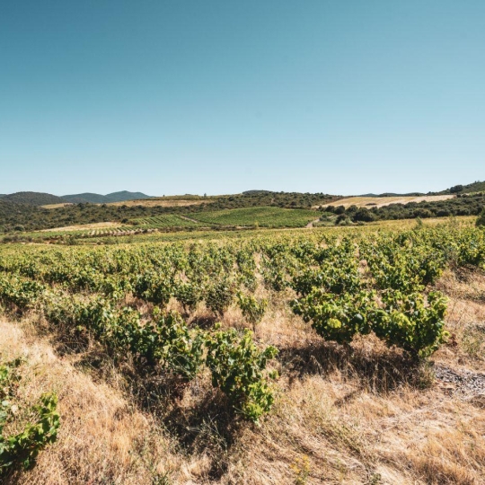 ODYSSEE - IMMO-DIFFUSION : Terrain | CASCASTEL-DES-CORBIERES (11360) | 107.00m2 | 130 000 € ODYSSEE - IMMO-DIFFUSION : Terrain | CASCASTEL-DES-CORBIERES (11360) | 107.00m2 | 130 000 €