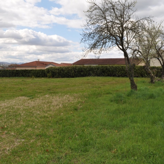 ODYSSEE - IMMO-DIFFUSION : Terrain | MONTMERLE-SUR-SAONE (01090) | m2 | 200 000 € ODYSSEE - IMMO-DIFFUSION : Terrain | MONTMERLE-SUR-SAONE (01090) | m2 | 200 000 €